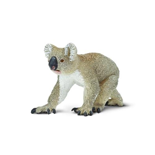 Safari WS WL Koala Safari WS WL Koala von Safari Ltd.