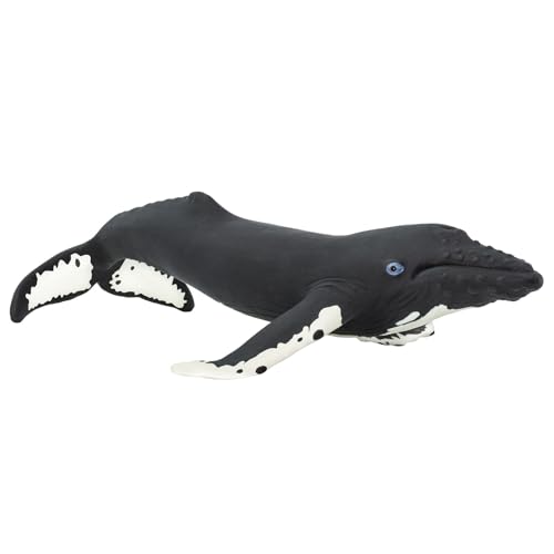 Safari S202029 Wal – Englische Version von Safari Ltd.