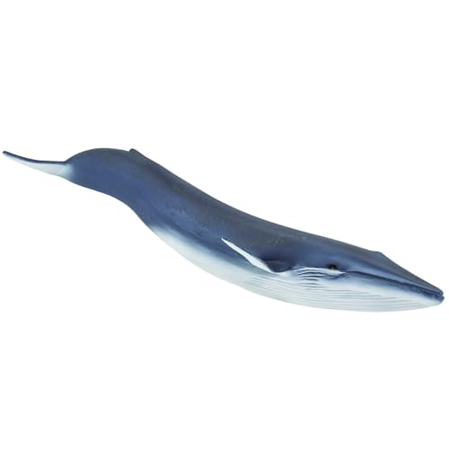 Safari s223229 Sea Life Blau Wal Miniatur Safari s223229 Sea Life Blau Wal Miniatur von Safari