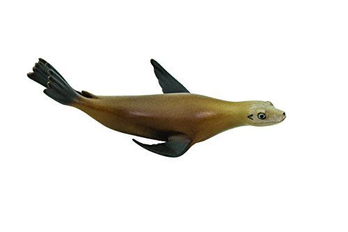 Safari S225029 Sea Life California Sea Lion Miniatur Safari S225029 Sea Life California Sea Lion Miniatur von Safari