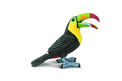 Safari Ltd. Tukan-Figur – lebensechte 7 cm große Vogelfigur – Lernspielzeug für Jungen, Mädchen und Kinder ab 3 Jahren von Safari Ltd.