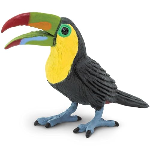 Safari Ltd. Tukan-Figur – lebensechte 7 cm große Vogelfigur – Lernspielzeug für Jungen, Mädchen und Kinder ab 3 Jahren von Safari Ltd.