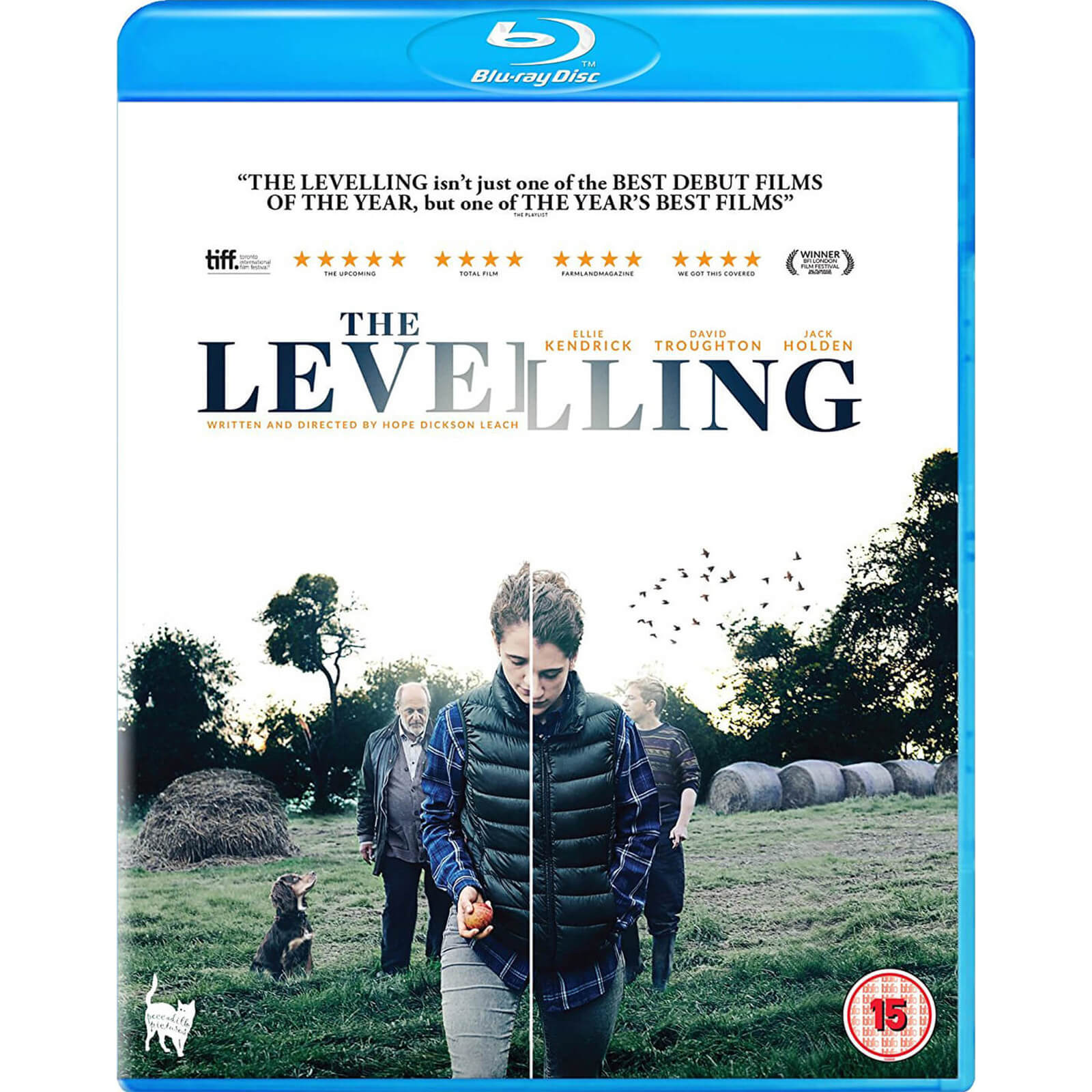 The Levelling The Levelling von Saffron Hill