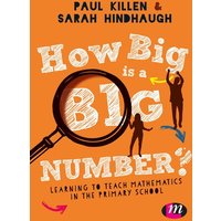 How Big Is a Big Number? von Sage Publications