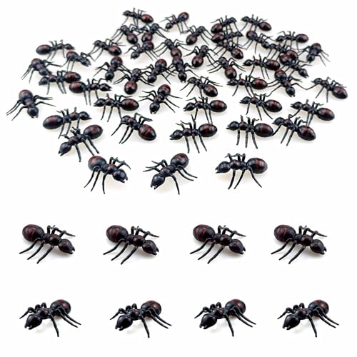 SaktopDeco 50 Stück schwarze Kunststoff-Ameisen, große künstliche Ameisen, Käfer, Party-Dekorationen, Insekten, Streich, Witz, Geschenke SaktopDeco 50 Stück schwarze Kunststoff-Ameisen, große künstliche Ameisen, Käfer, Party-Dekorationen, Insekten, Streich, Witz, Geschenke von SaktopDeco