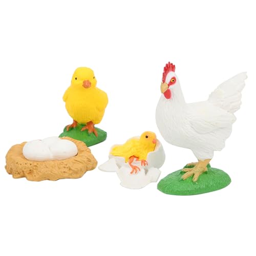 Saluaqui Hochsimuliertes Lebenszyklusmodell Spielzeug für - Kükenlebenszyklus -Lernmodell mit Qualitativ Hochwertigem PVC Material für Bildungsspiele (Hühnerwachstumszyklus) von Saluaqui