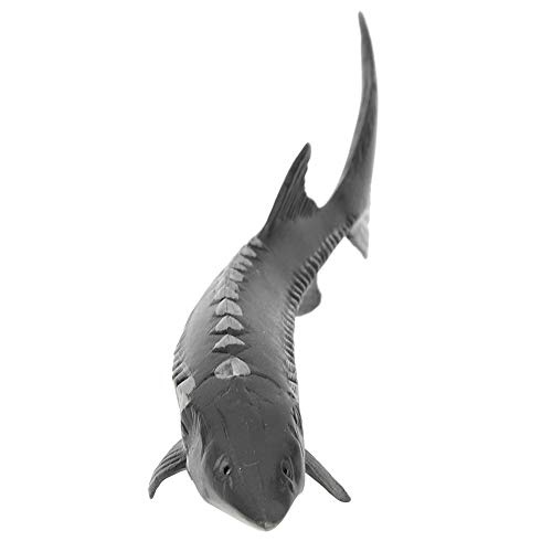 Saluaqui Lifelike Simuliertes Gefälschtes Fischmodell für Wohnkultur - Realistisches Störfischmodellspielzeug für Display- und Fotografien Magen aus Sicheren Kunststoffmaterialien (M-1528 Saluaqui Lifelike Simuliertes Gefälschtes Fischmodell für Wohnkultur - Realistisches Störfischmodellspielzeug für Display- und Fotografien Magen aus Sicheren Kunststoffmaterialien (M-1528 von Saluaqui