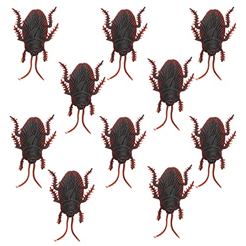Saluaqui Realistische Kakerlaken Streichprops 10pcs Set - Hochdetaillierte Simulation Gefälschte Kakerlaken für Halloween -Party & Fun Tricky Toy für über 3 Jahren (Kakerlake) von Saluaqui