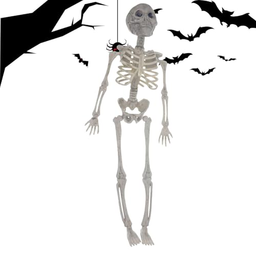 Salyeeluly Bewegliche Skelettfigur, Menschliches Ganzkörper-Modellskelett mit beweglichen Gelenken, Realistisches Schädel-Ganzkörper-Knochen-Spielzeug Geschenke Indoor Outdoor Party Decor Salyeeluly Bewegliche Skelettfigur, Menschliches Ganzkörper-Modellskelett mit beweglichen Gelenken, Realistisches Schädel-Ganzkörper-Knochen-Spielzeug Geschenke Indoor Outdoor Party Decor von Salyeeluly