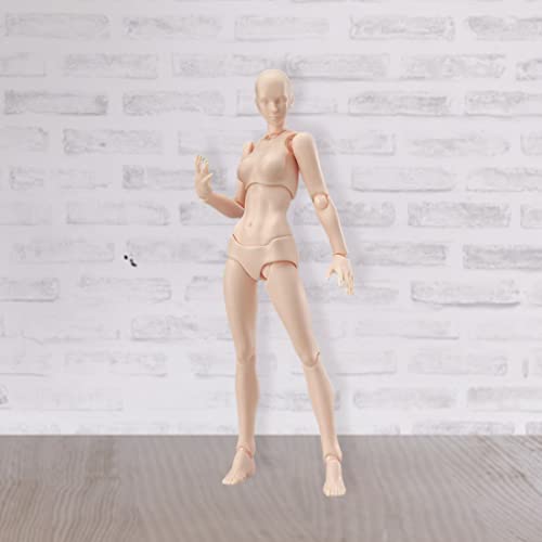 Sanfiyya Actionfigur Model, PVC Manga Art Drawing Puppe, Körper Kun Chan weibliche Hautfarbe Künstler Sammlerstücke Spielzeug von Sanfiyya