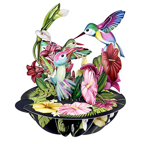Santoro Pirouette, 3D-Pop-Up-Grußkarte – Kolibris – Für Sie, Ihn, Mutter, Frau, Schwester, Tochter, Geburtstag, Vogelliebhaber | Dankeskarten Für Lehrer | Gute Besserung-Karte Santoro Pirouette, 3D-Pop-Up-Grußkarte – Kolibris – Für Sie, Ihn, Mutter, Frau, Schwester, Tochter, Geburtstag, Vogelliebhaber | Dankeskarten Für Lehrer | Gute Besserung-Karte von Santoro