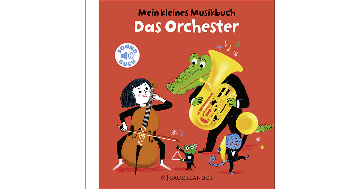 Buch - Mein kleines Musikbuch - Das Orchester Buch - Mein kleines Musikbuch - Das Orchester von Sauerländer Verlag
