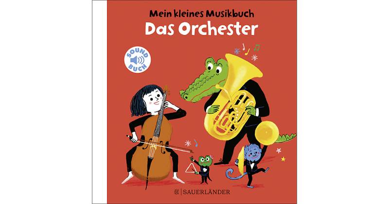 Buch - Mein kleines Musikbuch - Das Orchester von Sauerländer Verlag