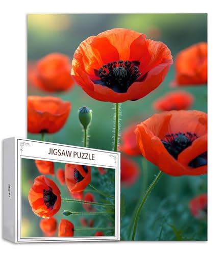 Rot Puzzle 3000 Teile Mohn Puzzle Erwachsene, Holzpuzzle Erwachsene, DIY Groß Puzzelmatten, Premium Quality Klassische Wooden Jigsaw, Holzpuzzle ab 14 Jahren für Jungen, Geschenke Mädche S-643 Rot Puzzle 3000 Teile Mohn Puzzle Erwachsene, Holzpuzzle Erwachsene, DIY Groß Puzzelmatten, Premium Quality Klassische Wooden Jigsaw, Holzpuzzle ab 14 Jahren für Jungen, Geschenke Mädche S-643 von Saweefog