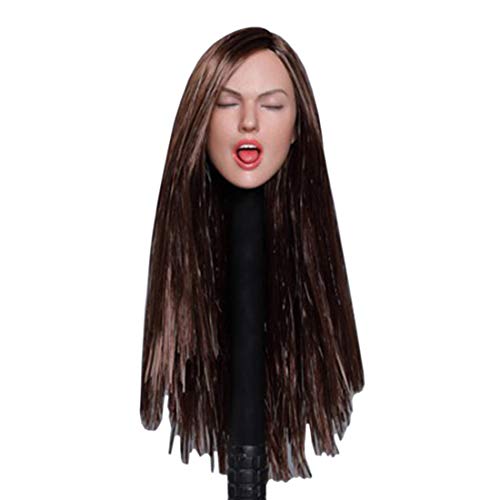 Scakbyer 1/6 Maßstab weiblicher Kopf, Europa Amerika Frauen Puppenkopf kompatibel mit HT, VERYCOOL, TTL und Phicen TBLeague 30,5 cm Körper der Actionfigur – braunes langes glattes Haar Scakbyer 1/6 Maßstab weiblicher Kopf, Europa Amerika Frauen Puppenkopf kompatibel mit HT, VERYCOOL, TTL und Phicen TBLeague 30,5 cm Körper der Actionfigur – braunes langes glattes Haar von Scakbyer