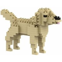 BRIXIES 200282 - Golden Retrieve, 3D Konstruktionsbausatz aus Ministeinen, 126 Teile BRIXIES 200282 - Golden Retrieve, 3D Konstruktionsbausatz aus Ministeinen, 126 Teile von Schäfer Toy Company GmbH
