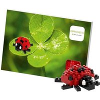 BRIXIES 220019 - Postkarte Marienkäfer, 3D Konstruktionsbausatz aus Ministeinen, 49 Teile von Schäfer Toy Company GmbH