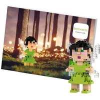 BRIXIES 220044 - Postkarte Fee, 3D Konstruktionsbausatz aus Ministeinen, 145 Teile BRIXIES 220044 - Postkarte Fee, 3D Konstruktionsbausatz aus Ministeinen, 145 Teile von Schäfer Toy Company GmbH