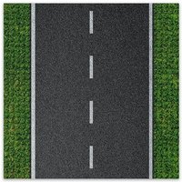 BRIXIES 225005 - Platte 32 x 32 Strasse gerade, Fotorealistische Bauplatte, 1 Stück BRIXIES 225005 - Platte 32 x 32 Strasse gerade, Fotorealistische Bauplatte, 1 Stück von Schäfer Toy Company GmbH