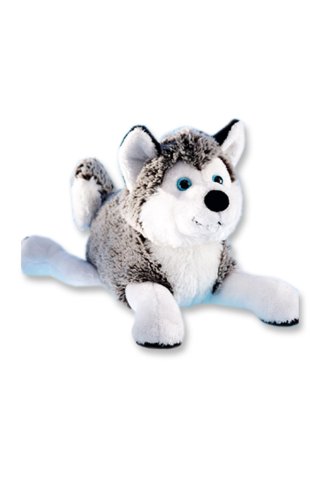 Schaffer 4741 Plüsch Hund Schlittenhund Husky, 24 cm von Schaffer Knuddel mich!