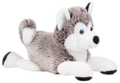 Schaffer Knuddel mich! 4742 Plüsch Hund Schlittenhund Husky, 30 cm, Grau/Weiß Schaffer Knuddel mich! 4742 Plüsch Hund Schlittenhund Husky, 30 cm, Grau/Weiß von Schaffer