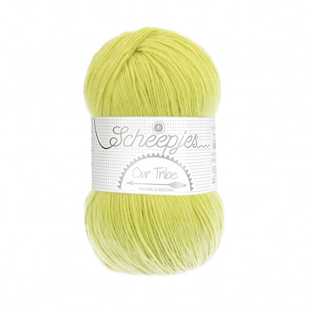Scheepjes Our Tribe Garn Unicolor 878 Pistachio Branch von Scheepjes