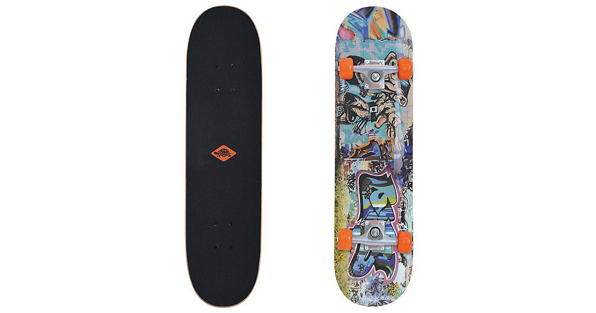 "Skateboard Kicker 31"" Streetart" bunt von SCHILDKRÖT