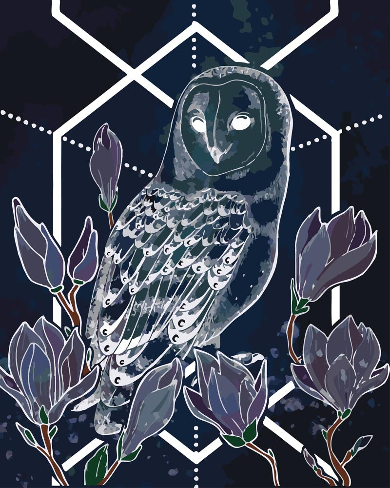 Malen nach Zahlen - Eule - Mystery-Serie - by Anneke Schipper, mit Rahmen Malen nach Zahlen - Eule - Mystery-Serie - by Anneke Schipper, mit Rahmen von Schipper