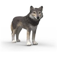 Amerikanischer Wolf von Schleich GmbH