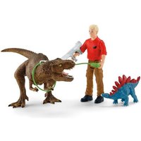 Schleich Dinosaurs 41465 - Tyrannosaurus Rex Angriff von Schleich GmbH