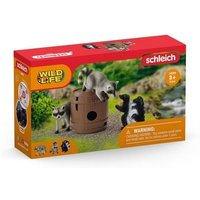 Schleich Wild Life Spielspaß um die Nuss Schleich Wild Life Spielspaß um die Nuss von Schleich GmbH