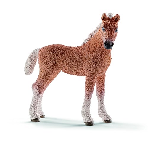 Schleich 13781 - Bashkir Curly Fohlen, Tier Spielfigur Schleich 13781 - Bashkir Curly Fohlen, Tier Spielfigur von SCHLEICH