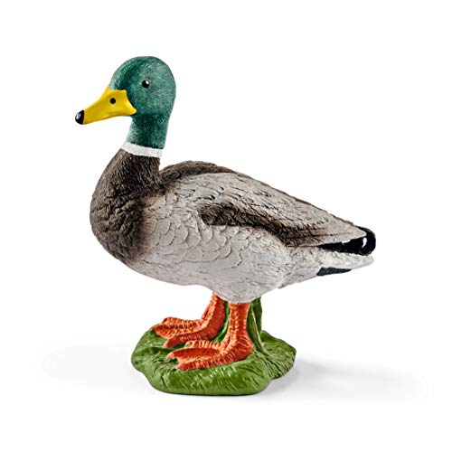 schleich FARM WORLD | Erpel 13824 | schleich Bauernhof Spielfigur | detailgetreue Tierfiguren | tolles Geschenk für Jungen und Mädchen | Bauernhof Spielzeug ab 3 Jahre | 5 x 3 x 5 cm schleich FARM WORLD | Erpel 13824 | schleich Bauernhof Spielfigur | detailgetreue Tierfiguren | tolles Geschenk für Jungen und Mädchen | Bauernhof Spielzeug ab 3 Jahre | 5 x 3 x 5 cm von SCHLEICH