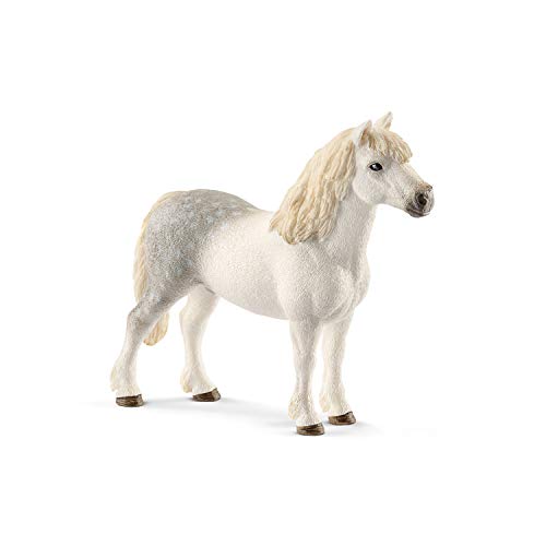 schleich 13871 Welsh-Pony Hengst, für Kinder ab 3+ Jahren, FARM WORLD - Spielfigur von SCHLEICH