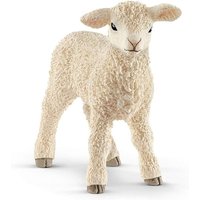 Lamm von Schleich GmbH
