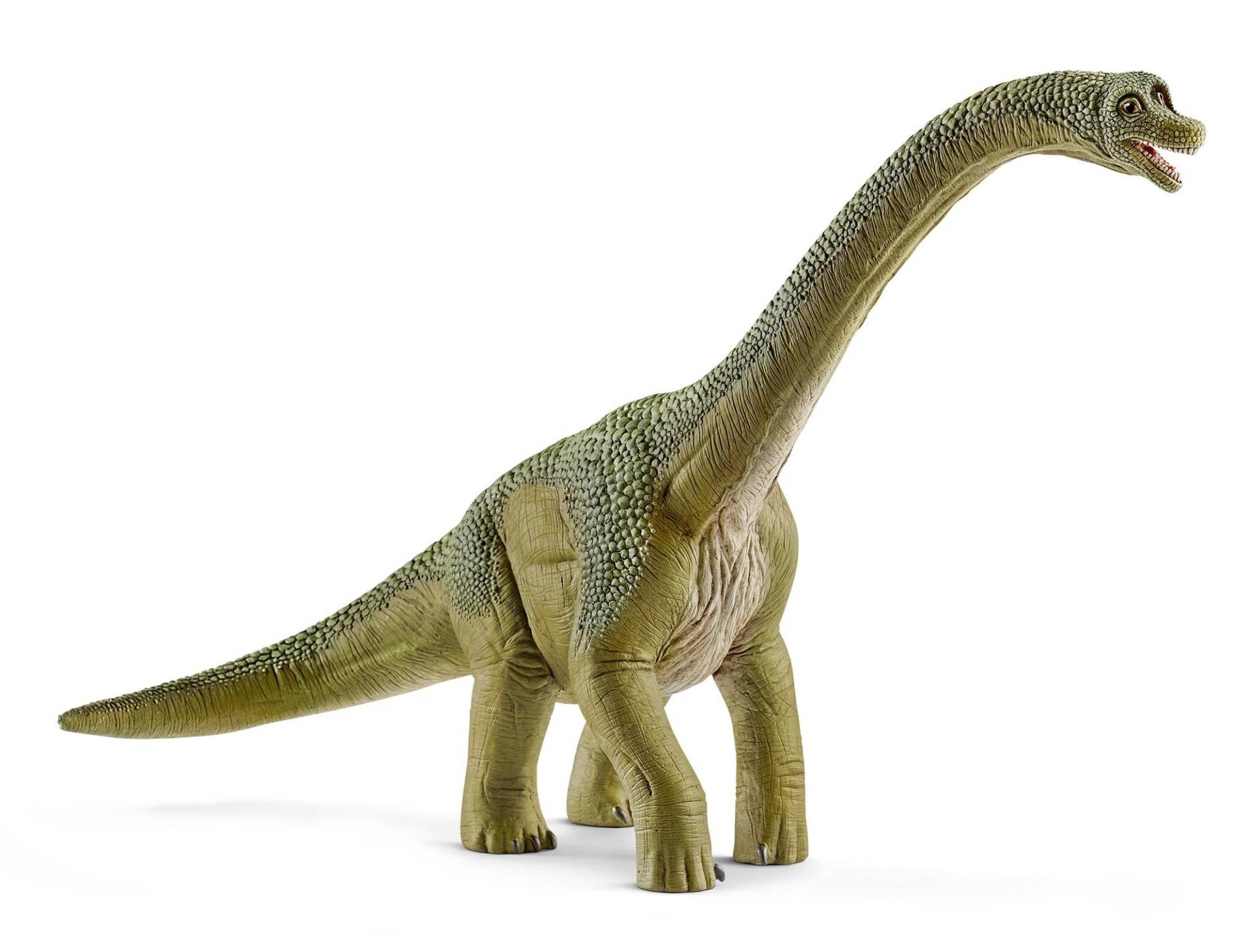 Schleich 14581 Brachiosaurus Schleich 14581 Brachiosaurus von Schleich