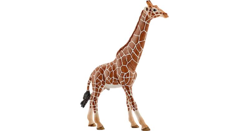 Schleich Wild Life 14749 Giraffenbulle von Schleich