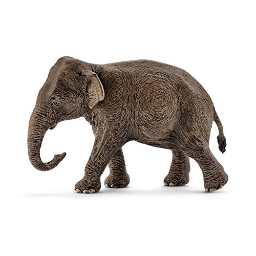 schleich 14753 Asiatische Elefantenkuh, für Kinder ab 3+ Jahren, WILD LIFE - Spielfigur von SCHLEICH