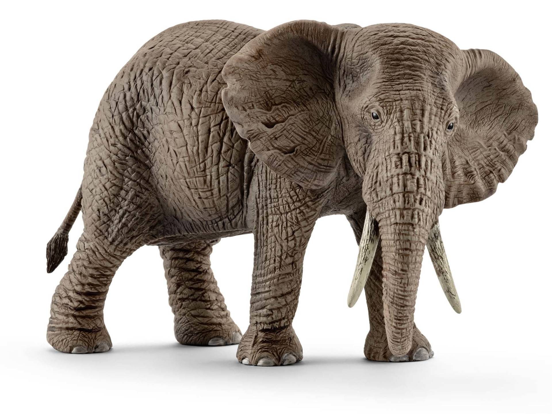 Schleich 14761 Afrikanische Elefantenkuh Schleich 14761 Afrikanische Elefantenkuh von Schleich