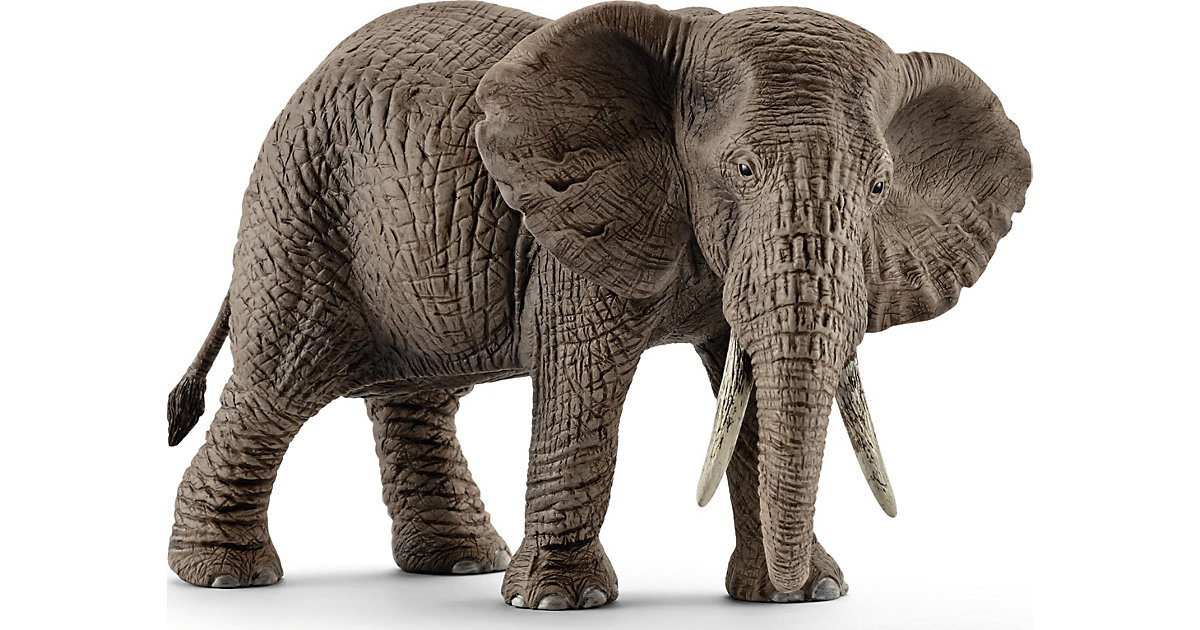 Schleich 14761 Wild Life: Afrikanische Elefantenkuh Schleich 14761 Wild Life: Afrikanische Elefantenkuh von Schleich