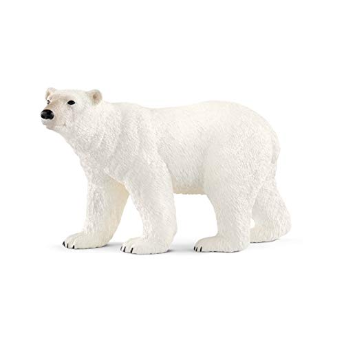 schleich WILD LIFE | Eisbär 14800 | detailgetreue Tierfiguren | Zoo Spielzeug | tolles Geschenk für Jungen und Mädchen | Deko für Geburtstag | Spielfigur ab 3 Jahren | 12 x 6 x 7 cm schleich WILD LIFE | Eisbär 14800 | detailgetreue Tierfiguren | Zoo Spielzeug | tolles Geschenk für Jungen und Mädchen | Deko für Geburtstag | Spielfigur ab 3 Jahren | 12 x 6 x 7 cm von SCHLEICH