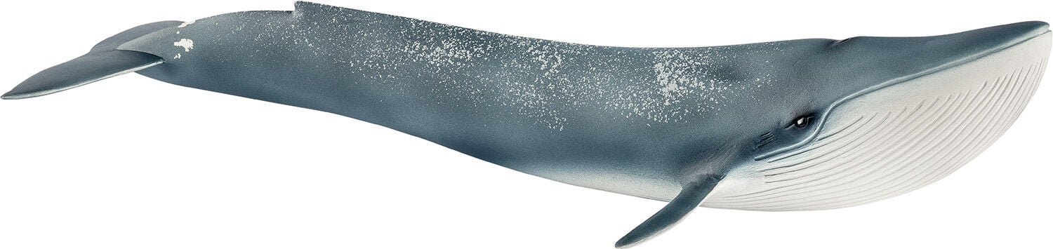 Schleich 14806 Blauwal Schleich 14806 Blauwal von Schleich