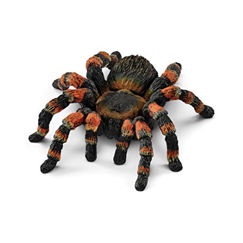 schleich WILD LIFE | Vogelspinne 14829 | detailgetreue Tierfiguren | Zoo Spielzeug | tolles Geschenk für Jungen und Mädchen | Deko für Geburtstag | Spielfigur ab 3 Jahren | 8 x 6 x 2 cm schleich WILD LIFE | Vogelspinne 14829 | detailgetreue Tierfiguren | Zoo Spielzeug | tolles Geschenk für Jungen und Mädchen | Deko für Geburtstag | Spielfigur ab 3 Jahren | 8 x 6 x 2 cm von SCHLEICH