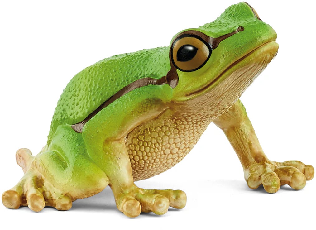 Schleich 14882 Wild Life Europäischer Laubfrosch Schleich 14882 Wild Life Europäischer Laubfrosch von Schleich