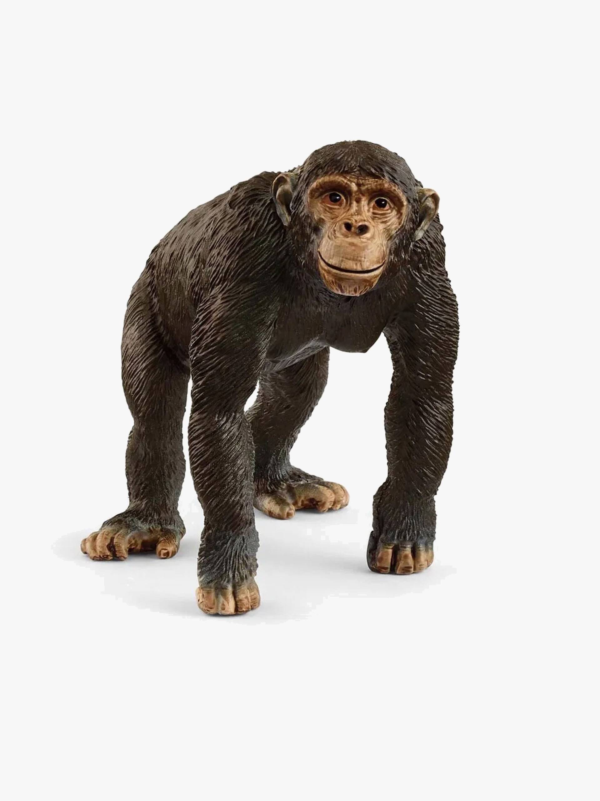 Schleich 14883 Schimpanse Schleich 14883 Schimpanse von Schleich