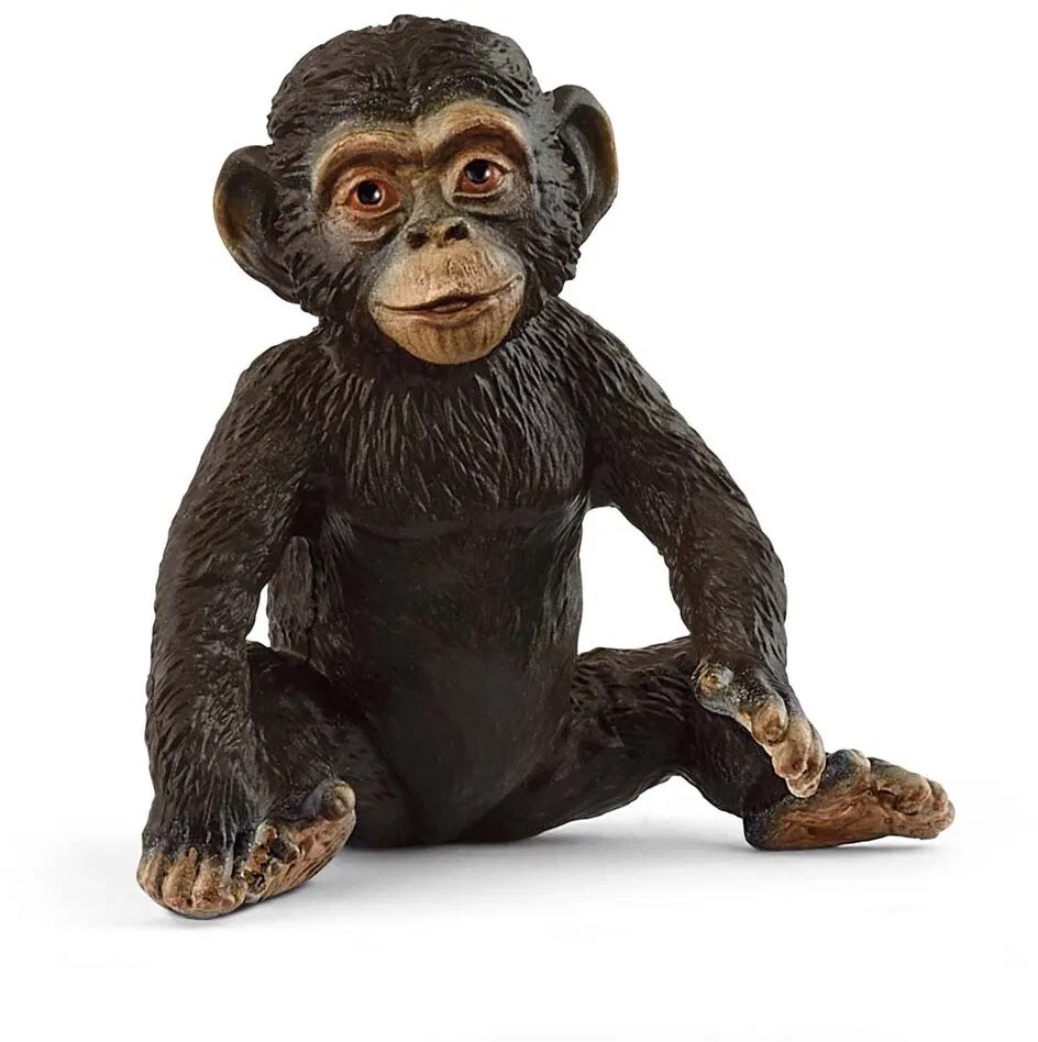 Schleich 14884 Wild Life Schimpansen-Junges Schleich 14884 Wild Life Schimpansen-Junges von Schleich