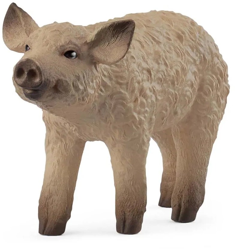 Schleich 14893 Wollschwein Ferkel Schleich 14893 Wollschwein Ferkel von Schleich