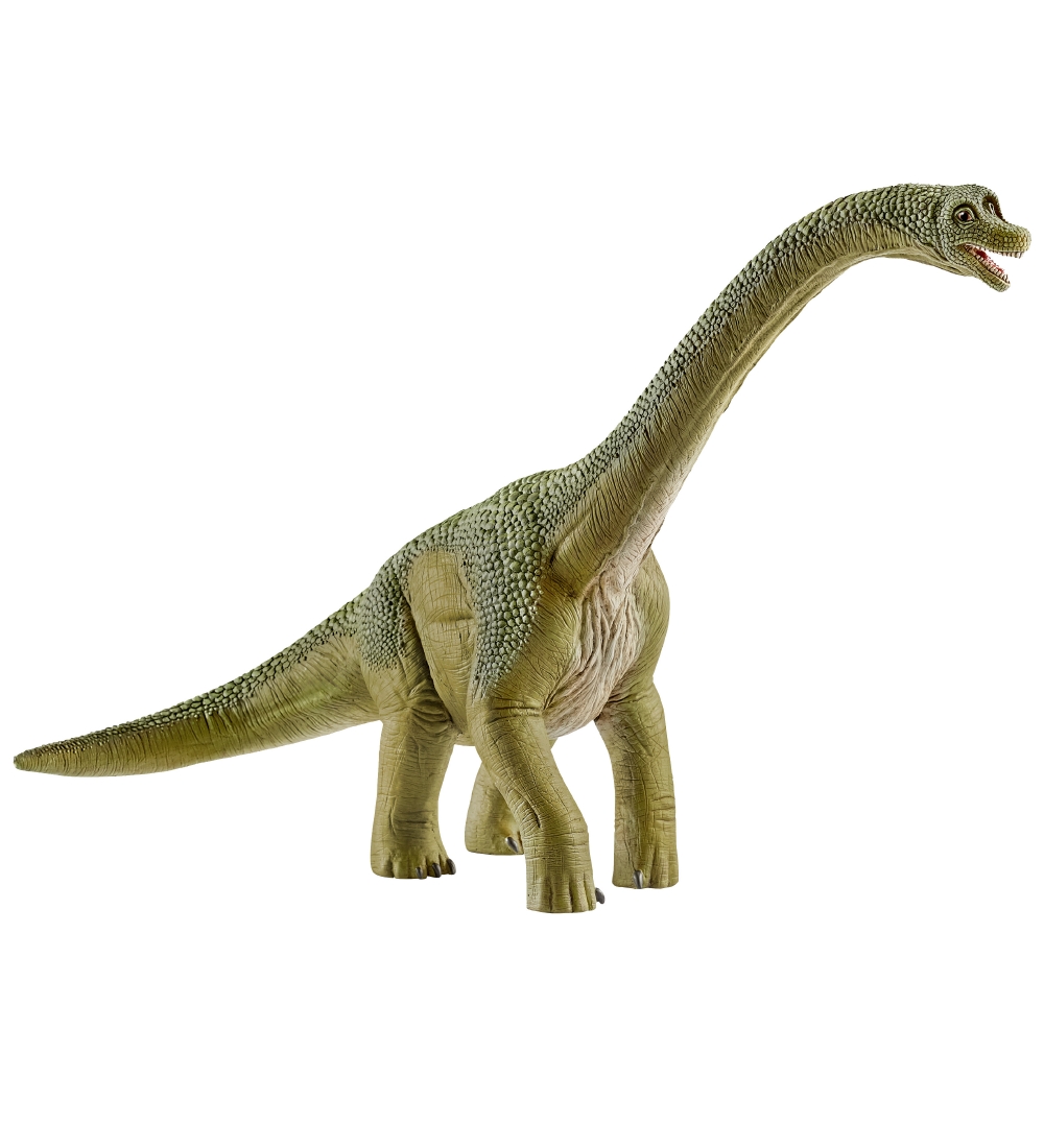 Schleich Dinosaurs - Brachiosaurus - H: 18, 5 14581 - Schleich - One Size - Dinosaurier Schleich Dinosaurs - Brachiosaurus - H: 18, 5 14581 - Schleich - One Size - Dinosaurier von Schleich