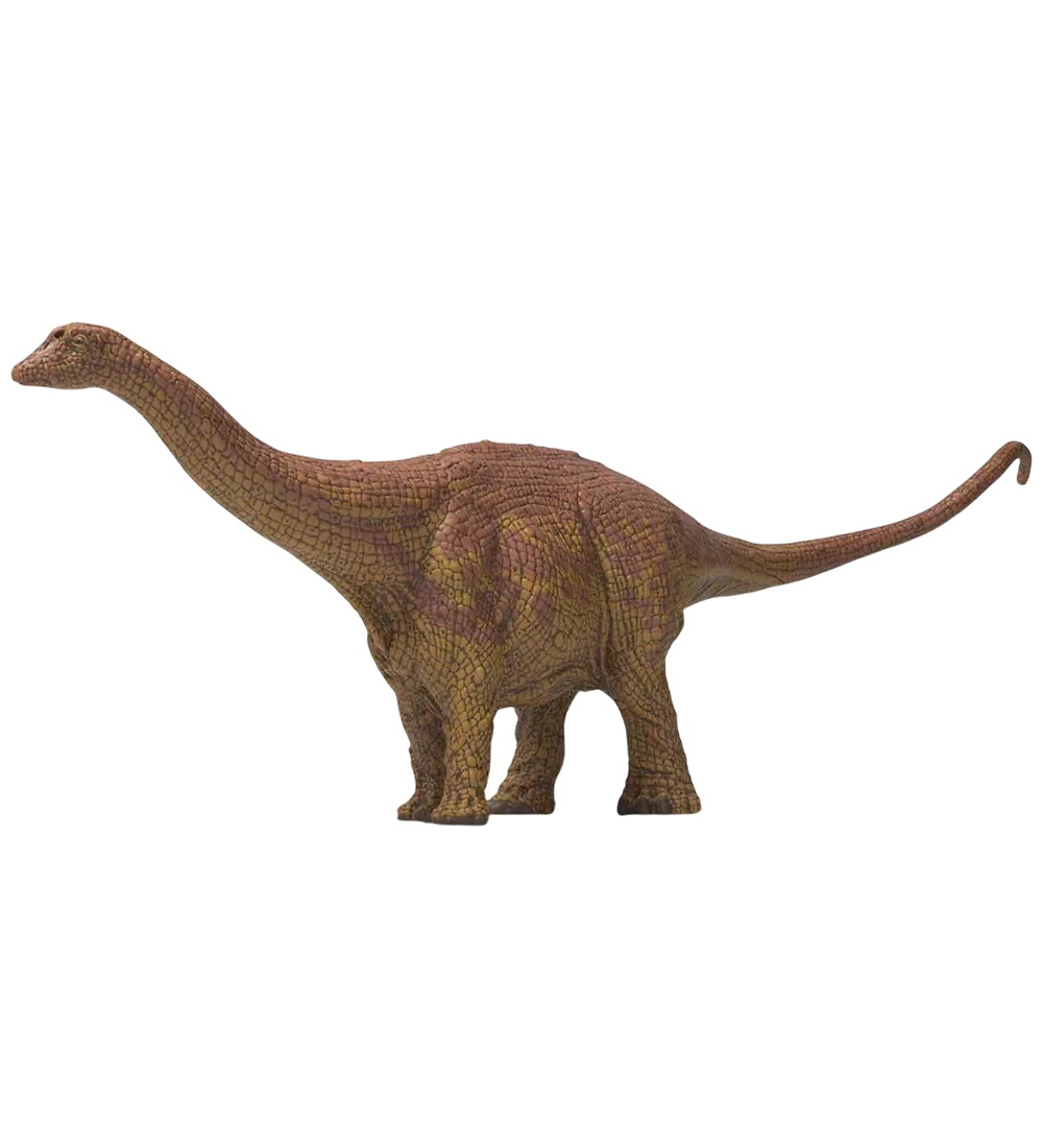 Schleich Dinosaurs - Brontosaurus - H: 10,8 cm - 15051 - Schleich - One Size - Dinosaurier Schleich Dinosaurs - Brontosaurus - H: 10,8 cm - 15051 - Schleich - One Size - Dinosaurier von Schleich