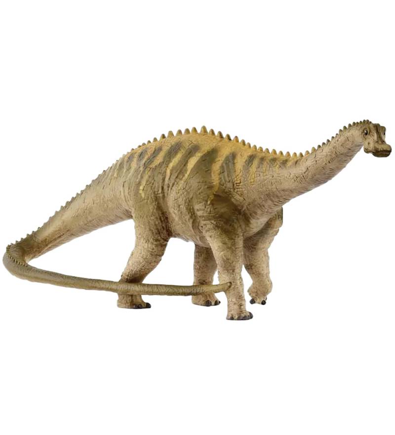 Schleich Dinosaurs - Diplodocus - 28 cm - 15047 - Schleich - One Size - Dinosaurier Schleich Dinosaurs - Diplodocus - 28 cm - 15047 - Schleich - One Size - Dinosaurier von Schleich